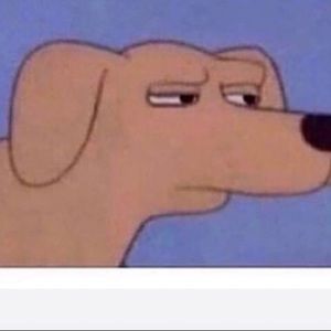 Meet your Posher, Ramiro